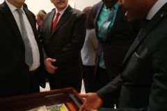 resized_IMG_20190617_113636