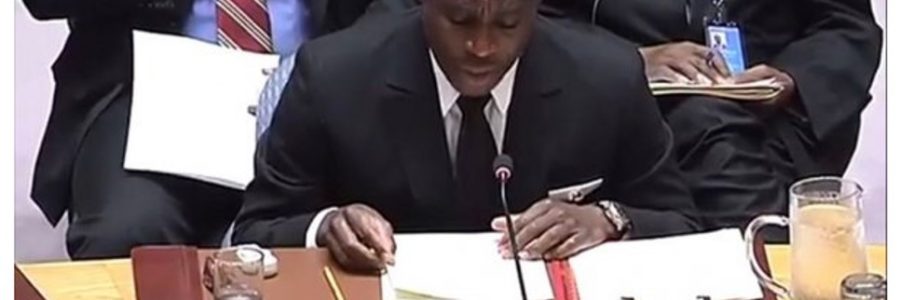 El Vicepresidente asiste a los debates sobre el Consejo de Paz y Seguridad de la ONU