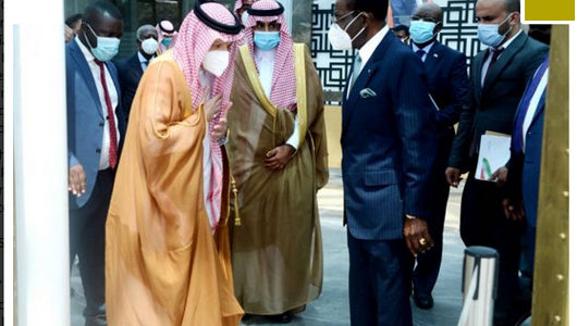 El Jefe de Estado recibe a una delegación de Arabia Saudí