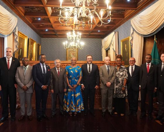 Canciller Yván Gil sostuvo encuentro con representantes del cuerpo diplomático africano