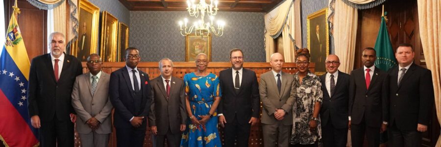 Canciller Yván Gil sostuvo encuentro con representantes del cuerpo diplomático africano